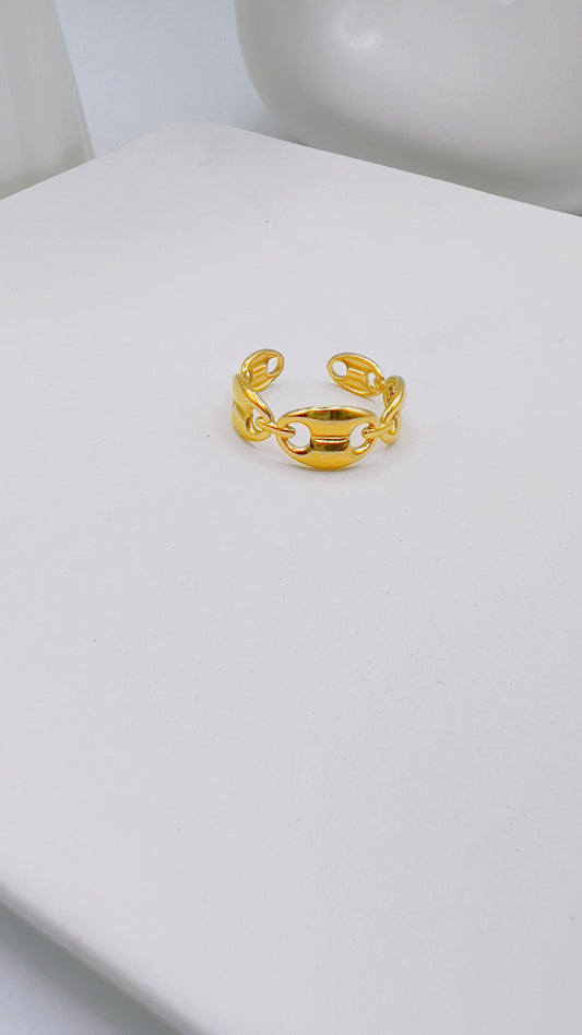 Zenit Ring